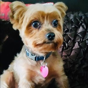 Meet your Posher, Mary